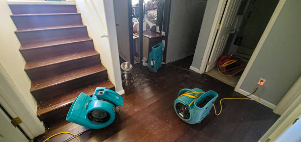 Best Ceiling water damage repair  in Kalona, IA