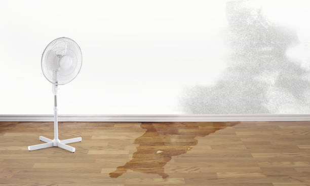 Best 24/7 water damage repair  in Kalona, IA