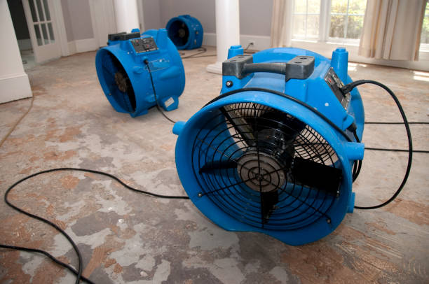 Best Professional water damage repair  in Kalona, IA