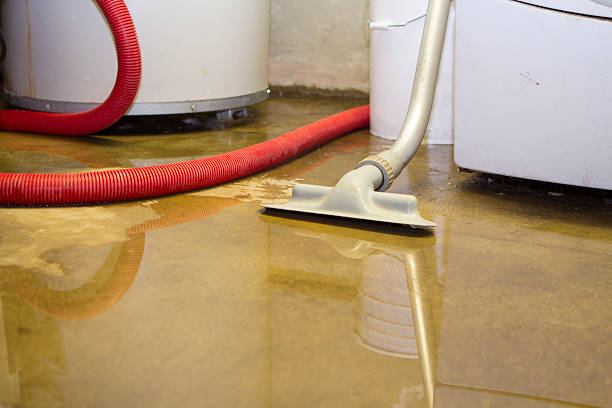 Best Basement water damage restoration  in Kalona, IA