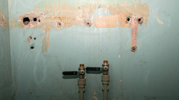 Best Water damage restoration insurance claims  in Kalona, IA