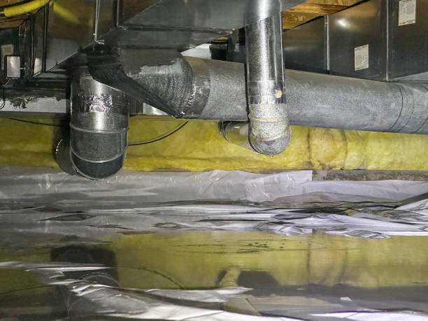 Best Flood damage cleanup  in Kalona, IA