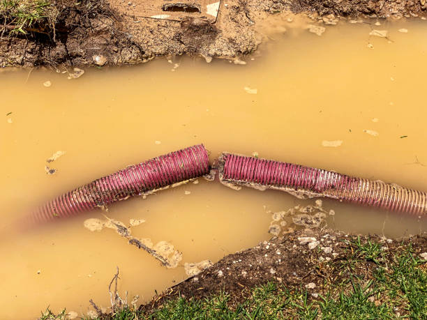 Water damage restoration insurance claims in Kalona, IA